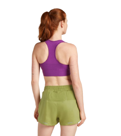 Icebreaker Merino Blend 260 ZoneKnit Seamless Bra
