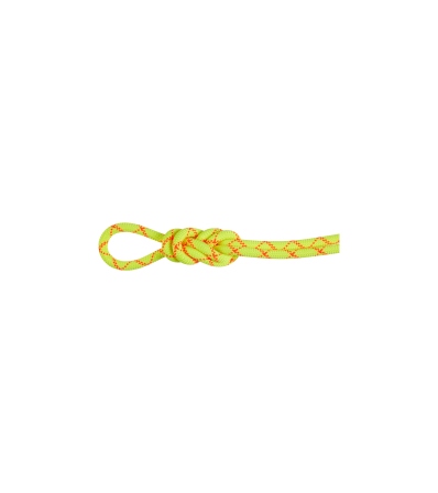 Въже Mammut 9.5 Alpine Core Protect Dry Rope 50m