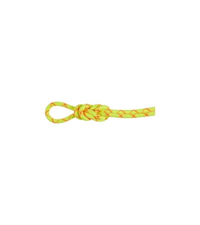 Mammut 9.5 Alpine Core Protect Dry Rope 50m