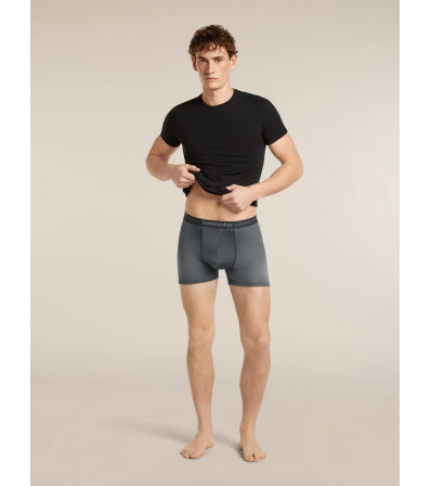 Боксерки Icebreaker Merino 150 Anatomica Boxers Transitions