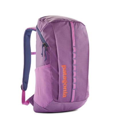 Раница Patagonia Black Hole Pack 25L
