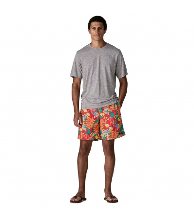 Patagonia Baggies Longs Shorts 7