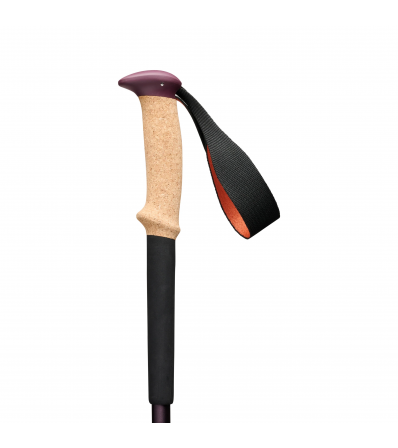 Black Diamond Trail Cork Trekking Poles