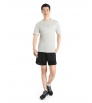 Шорти Icebreaker M's ZoneKnit Merino Blend Shorts