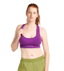 Icebreaker Merino Blend 260 ZoneKnit Seamless Bra