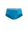 Icebreaker Merino 150 Anatomica Briefs M's