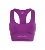 Icebreaker Merino Blend 260 ZoneKnit Seamless Bra