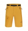 Direct Alpine Vulcan Short 3.0 M's