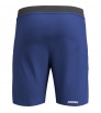 Shorts CRAZY Short Pegasus