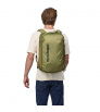 Patagonia Black Hole Mini MLC 30L