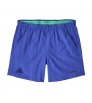 Patagonia Baggies 5