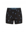 Icebreaker Merino 150 Anatomica Boxers Ski Day