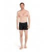 Icebreaker Merino 150 Anatomica Boxers Ski Day
