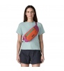 Patagonia Terravia Hip Pack 5L