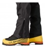 Patagonia Mixed Alpine Pants W's