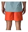 Patagonia Baggies 5
