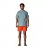 Patagonia Baggies 5